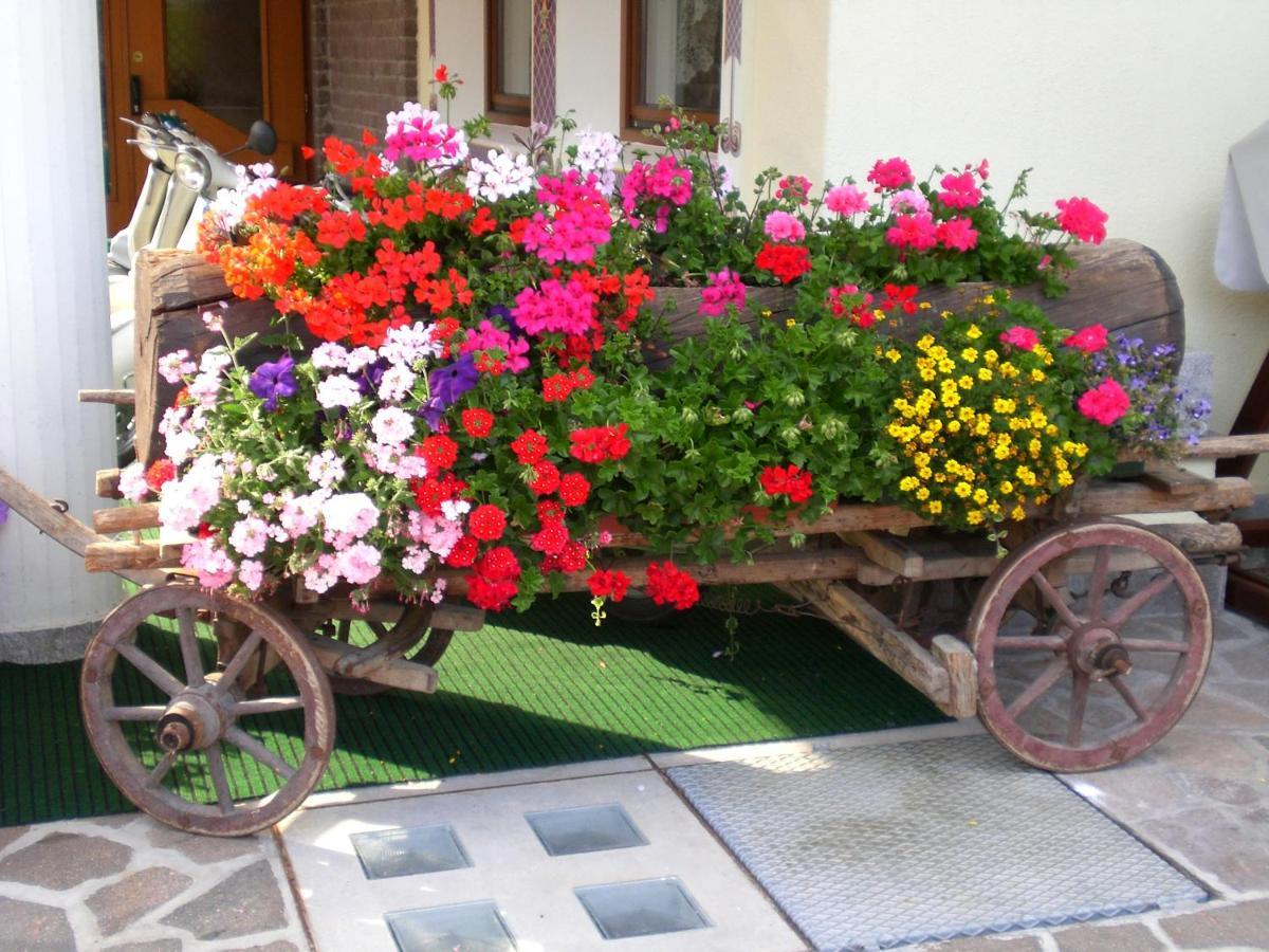 Park Hotel Arnica Falcade Dış mekan fotoğraf