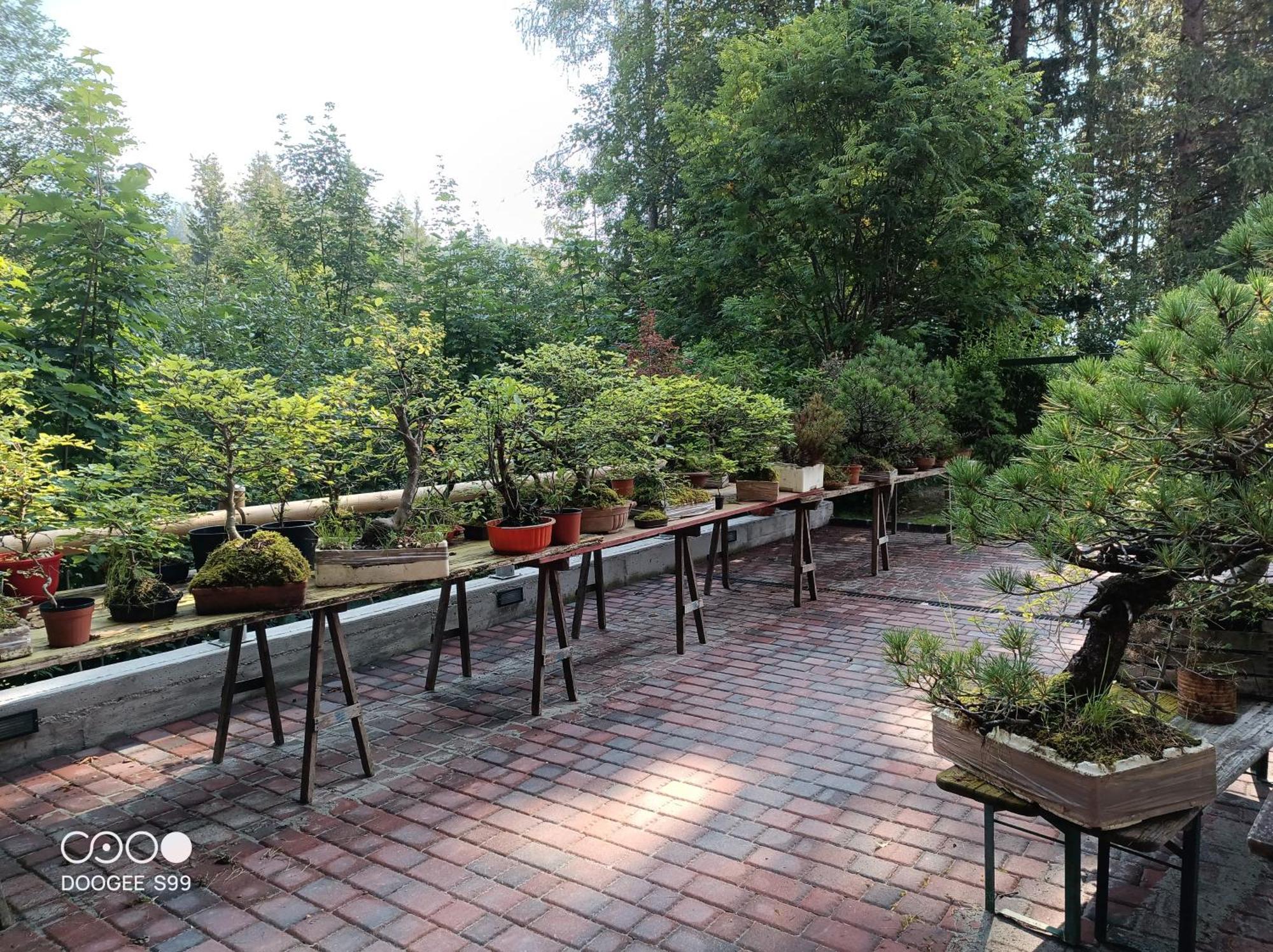 Park Hotel Arnica Falcade Dış mekan fotoğraf